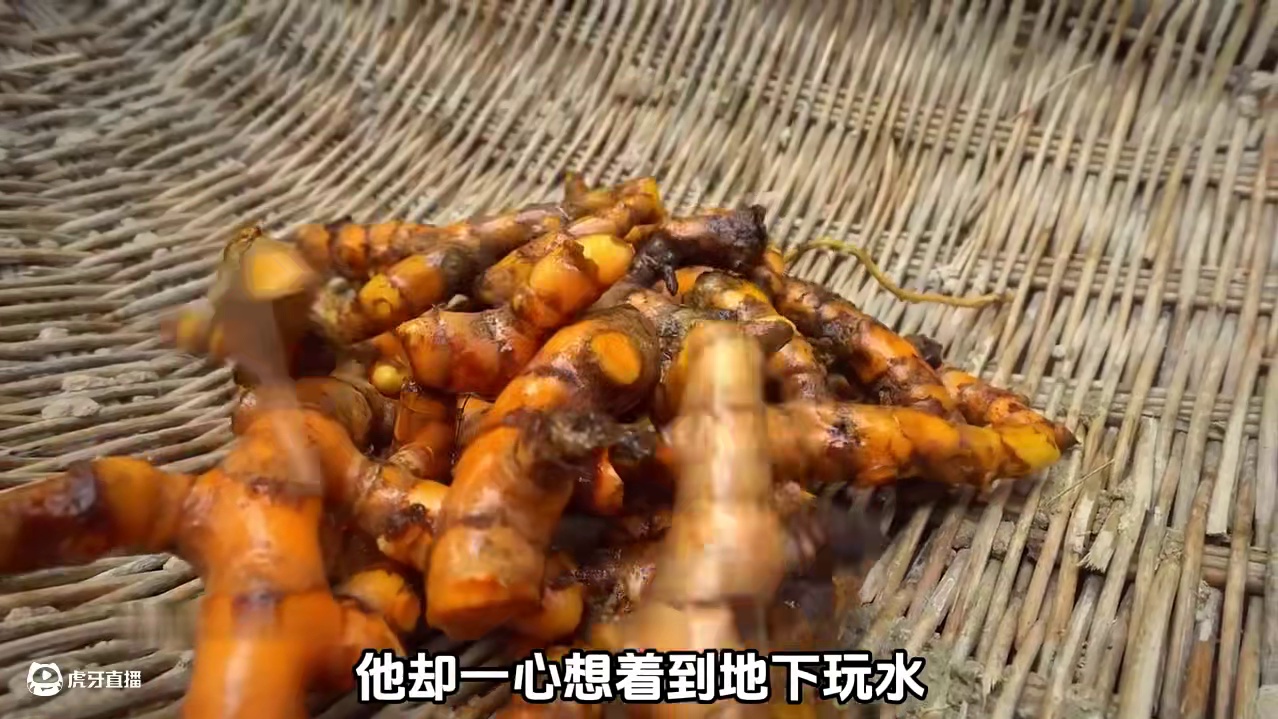 铲子哥热得受不了，铲出了一座奇葩的树根泳池