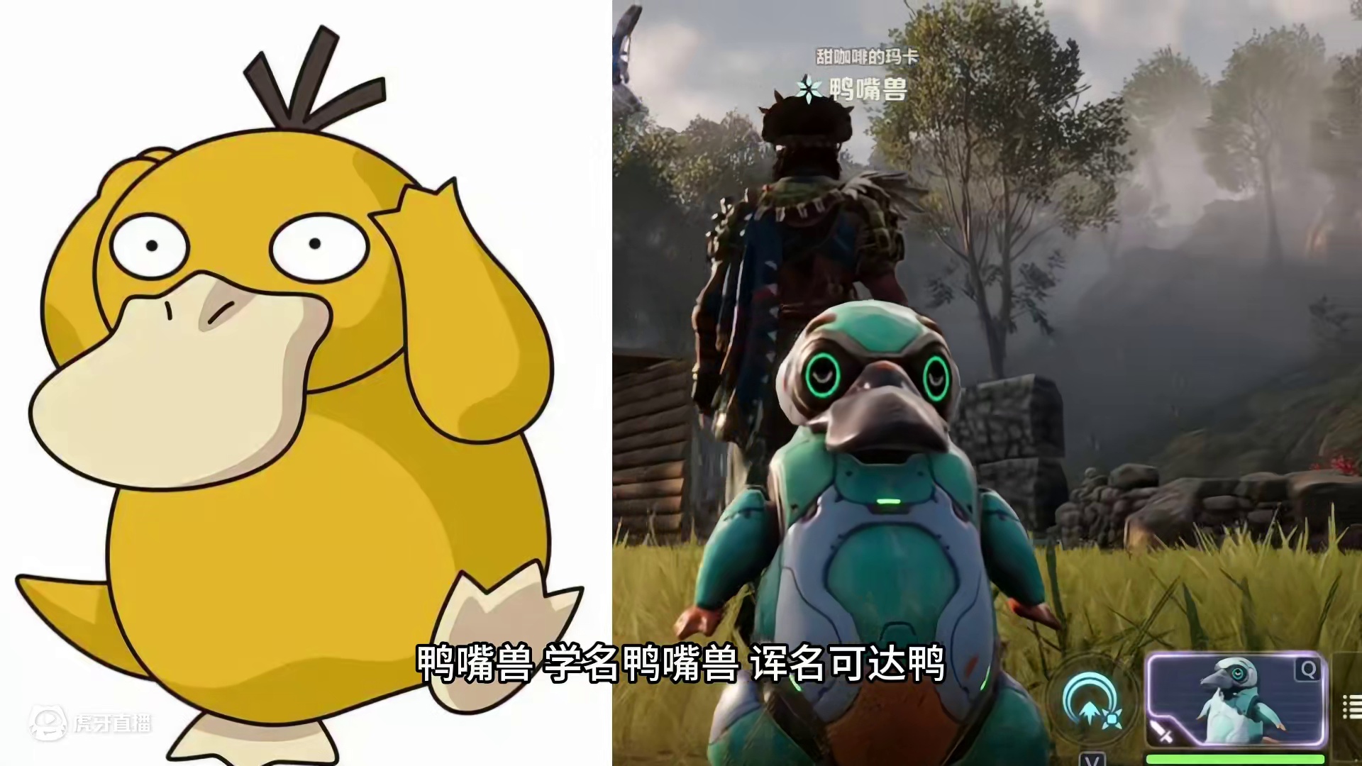 荒野生物鉴定22：鸭嘴兽