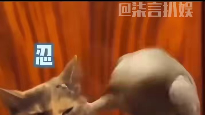 #万万没想到 #内容过于真实 #动物的迷惑行为