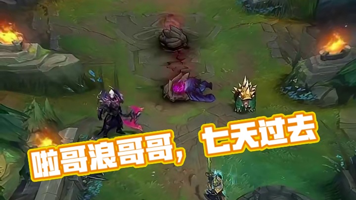 我发布了一个新视频，快来围观吧！