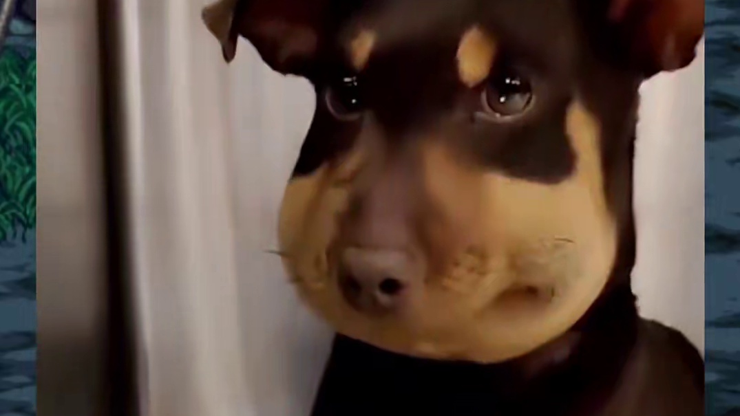 普通玩家大号能有6万左右吧，但是居然有7.6名望的了！ #DNF #DNF重力之泉再次闪光 #地下城