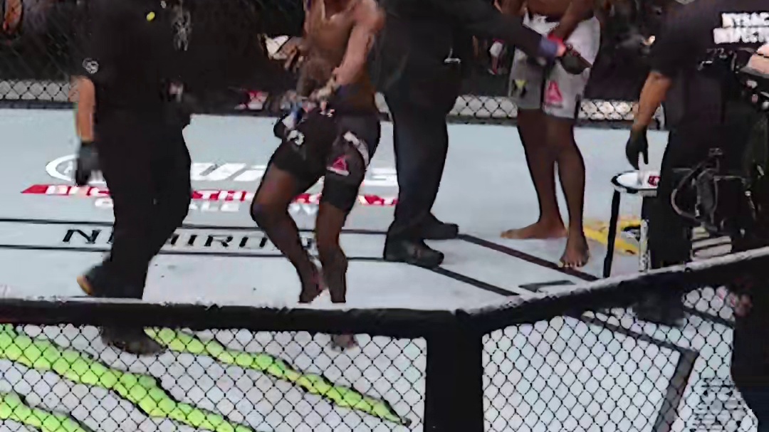 阿迪萨亚应该是UFC选手里最会赛后庆祝的选手了吧？#UFC