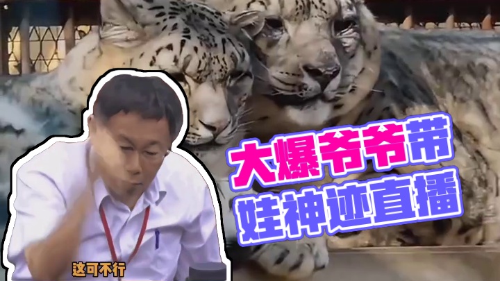 大豹：每天带娃累的跟孙子一样能不长寿嘛