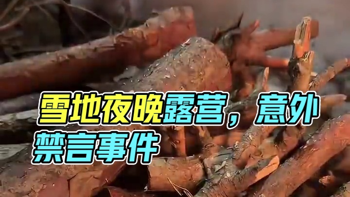 雪地露营夜晚 #露营报告 #雪地露营报告
