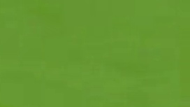 啥时候才能回到这个状态