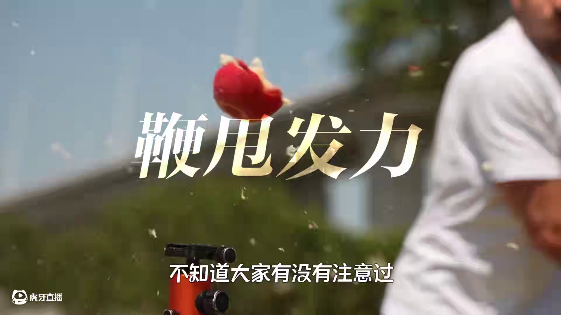 不可思议的软柄锤，锤柄明明是软的，为何比普通锤子更实用？ #科普 #涨知识