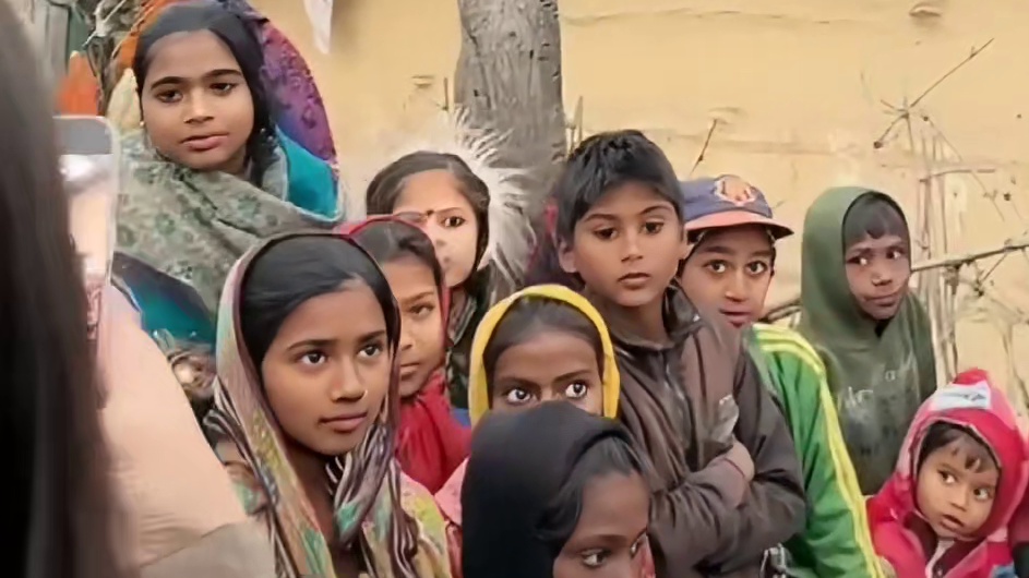 野猪王传递爱与和平