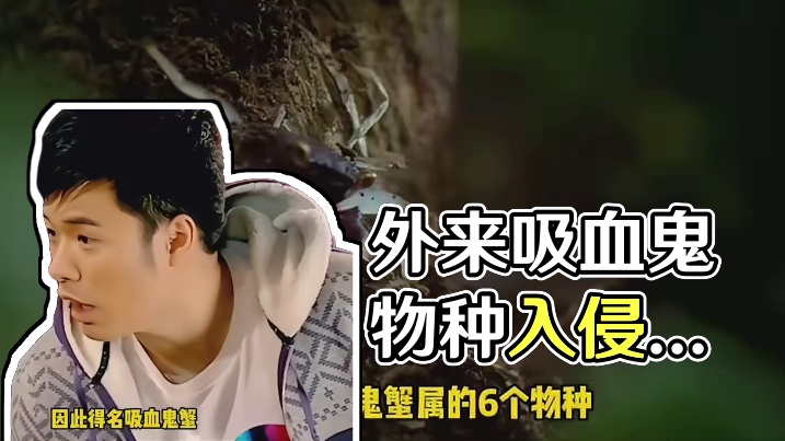 话说回来 外来物种入侵可不是开玩笑的 不要试图挑战海关