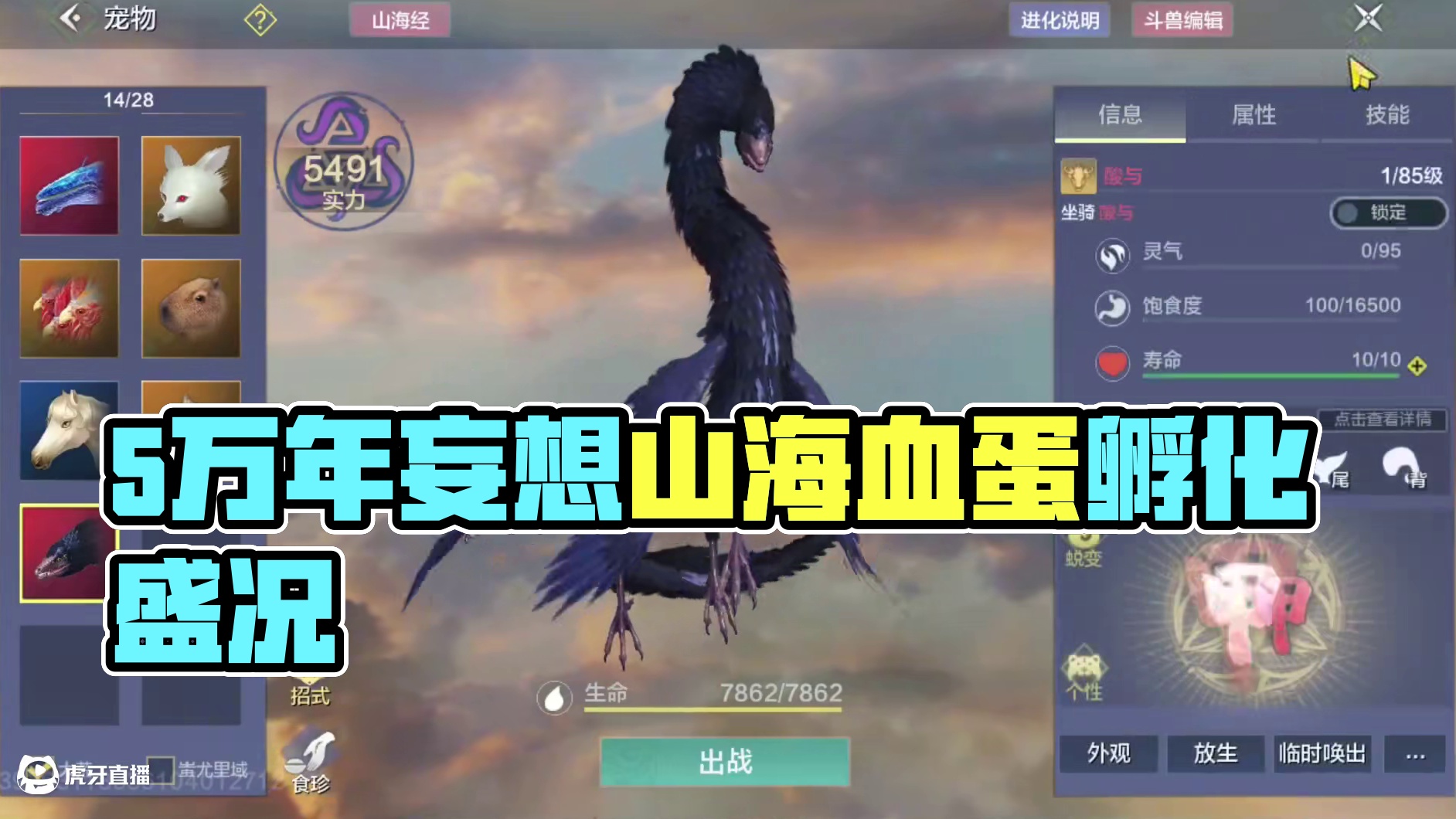 3个血蛋2个5万年1个3万年全部孵化 玩的就是刺激！ 