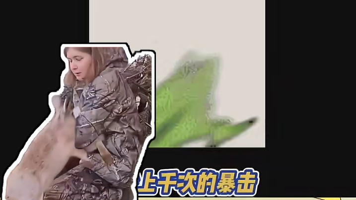 灰兔：快放开我媳妇儿~