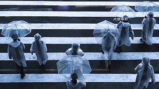 史無前例的暴雨,人類進化長出了魷魚須，背后竟隱藏著災難的真相