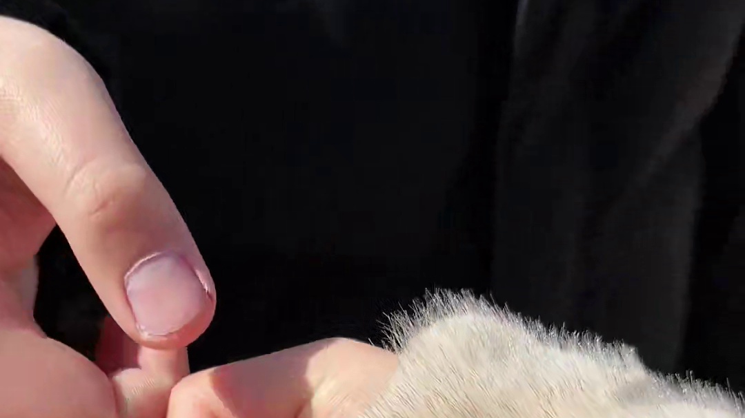 vlog｜湖南农村家庭过除夕的一天 #春节假期的生活vlog #美食vlog #过年吃出好运来 #记