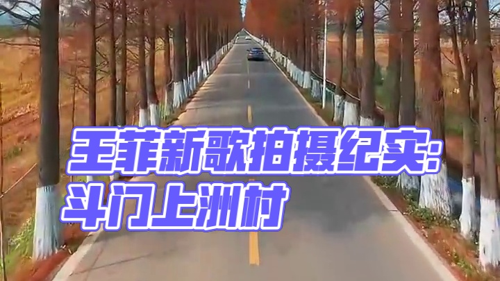王菲新歌——世界赠与我的 拍摄地点：斗门上洲村 拍摄时间：1月30日#上洲