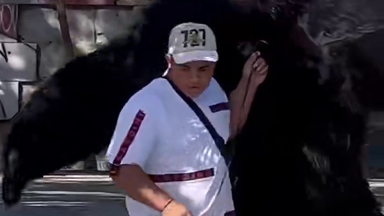 超逗！老外恶搞笑到笑到昏厥