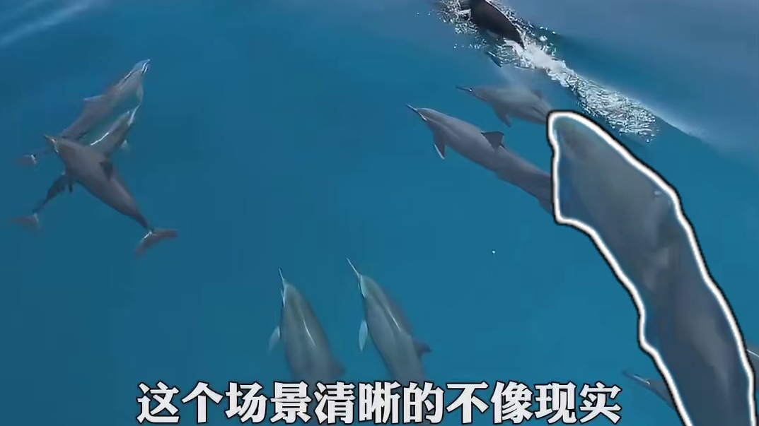 竟然是真实存在的