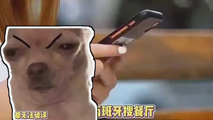 中国人不骗中国人