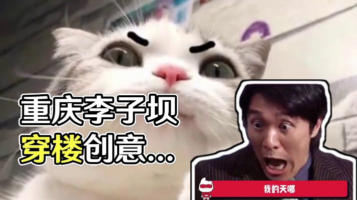 宰相肚里能撑船，佳人唇边跑轻轨 #李子坝穿楼轻轨 #创意 #万万没想到 #轻轨