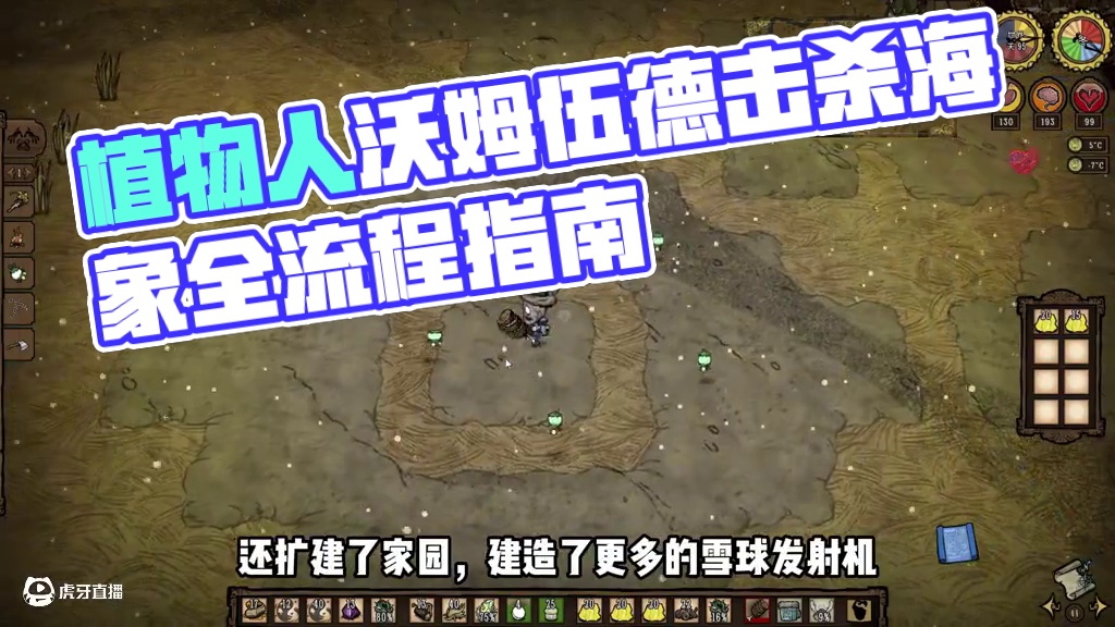 【满满熊叔】植物人沃姆伍德全流程讲解第八期，击杀海象 #饥荒联机版教程