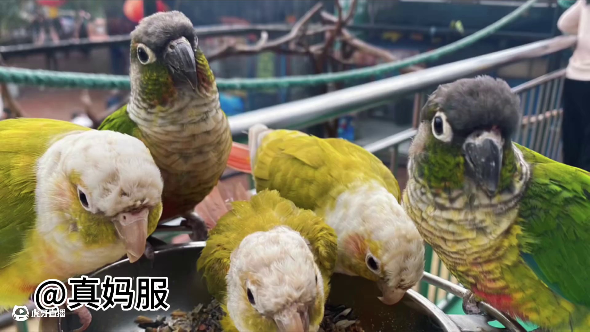 蛇年第一个节气来了 看看新的节气里兄弟们拍的照片#春节档镜头中的美学 #每张照片都有存在的意义 #评