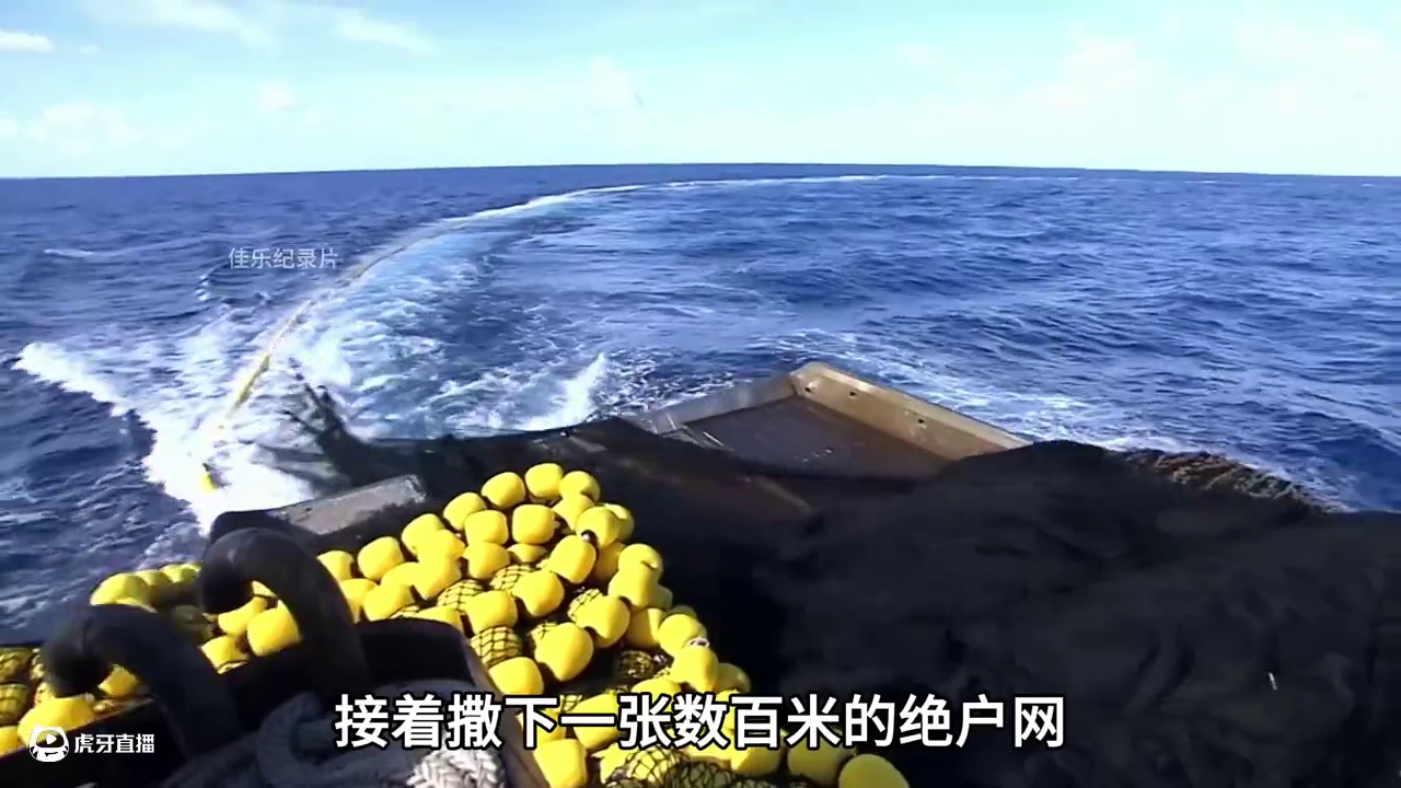 船员点燃火把瞬间照亮海面， 成千上万条小鱼不断的跳出水平线#小鱼仔 #零食推荐 #零食