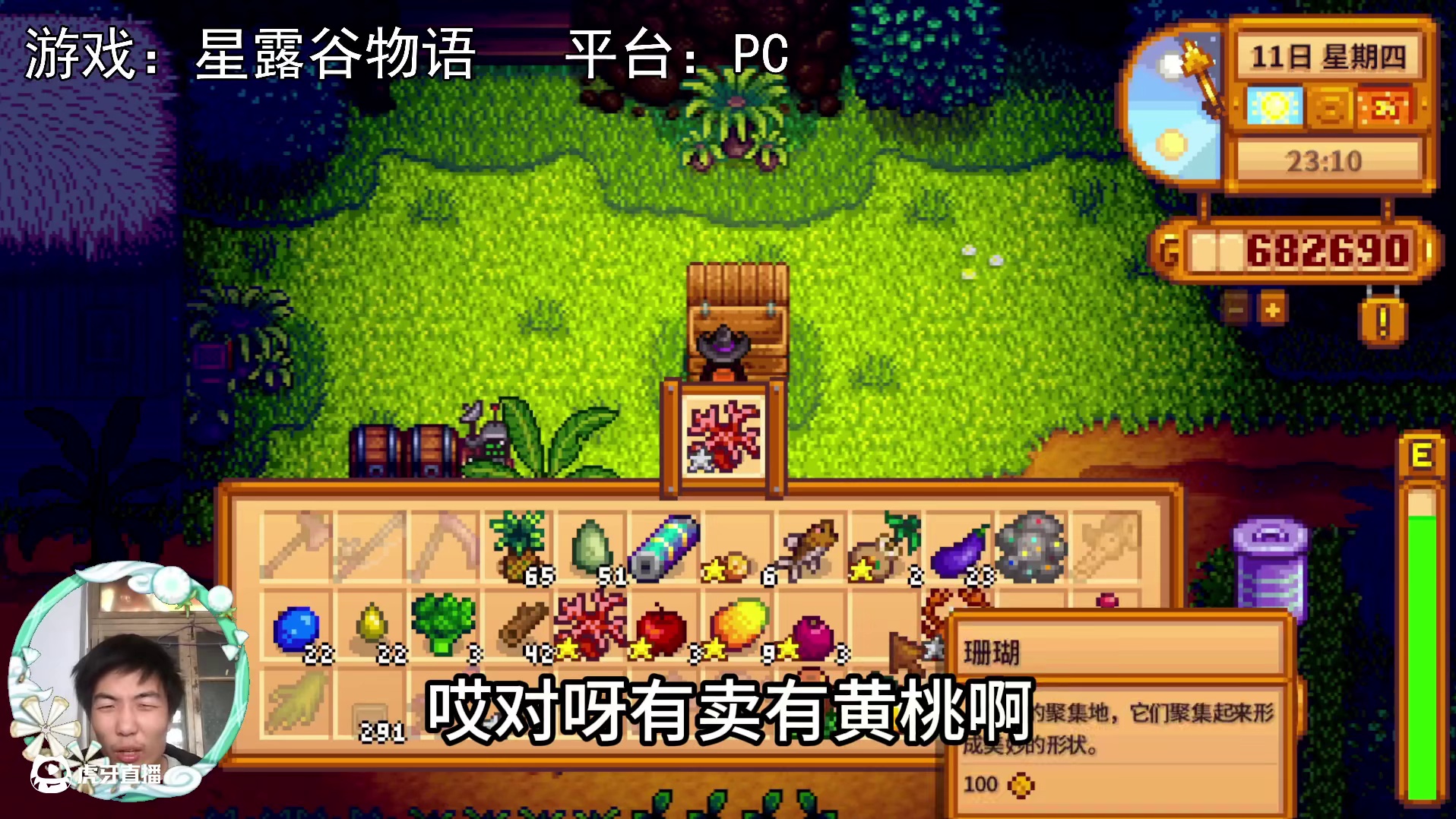 【星露谷物语】杏树温室移栽！