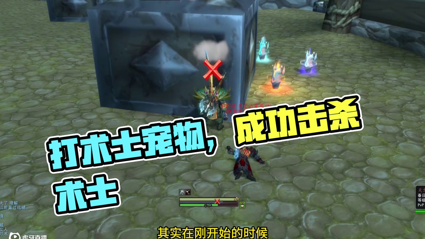 打术士先打宠物  22竞技场攻略