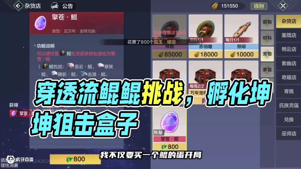 我有一个新区大胆的计划！穿透流鲲鲲开发日记 #妄想山海 #妄想山海四周年