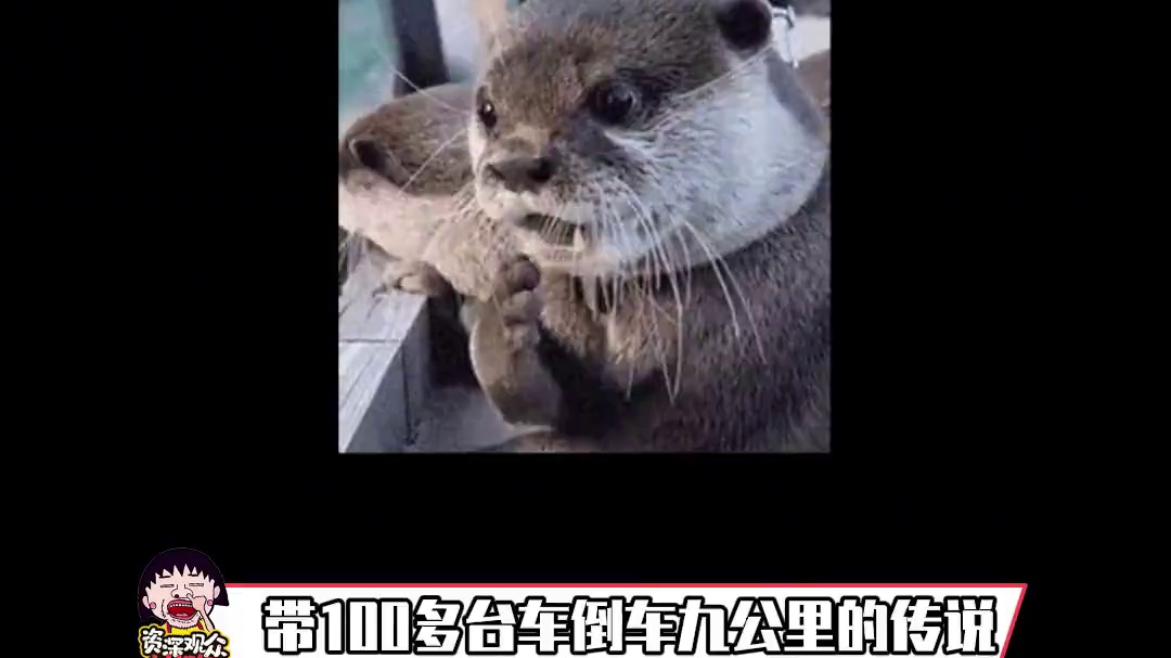 我发布了一个新视频，快来围观吧！