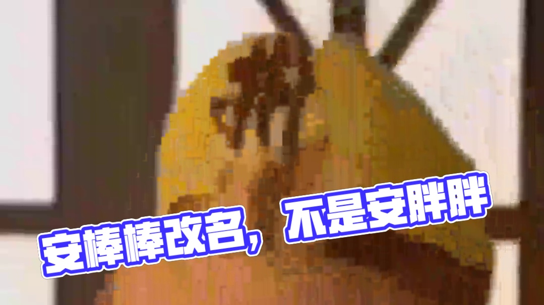 我叫安棒棒！不是安胖胖！！！ #内容过于真实 #信息量有点大