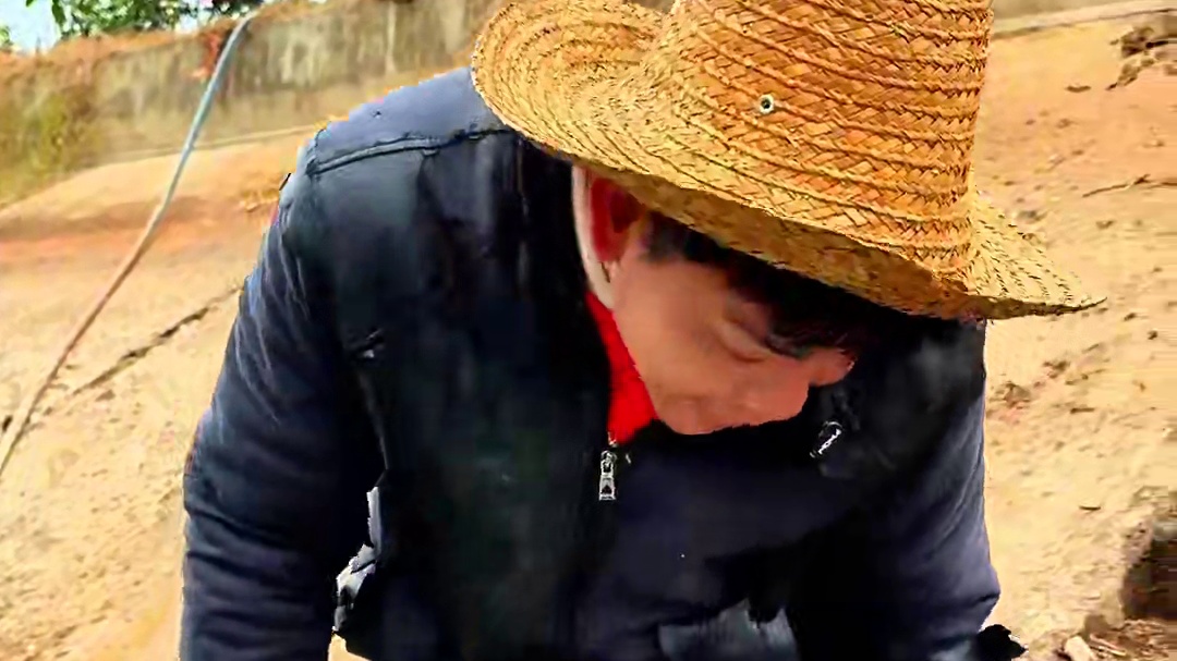 山村厨神小当家 今天意外发现一头羊 小敏做成了全羊宴 #乡村美食 #农村生活 #我在乡村做美食 #羊