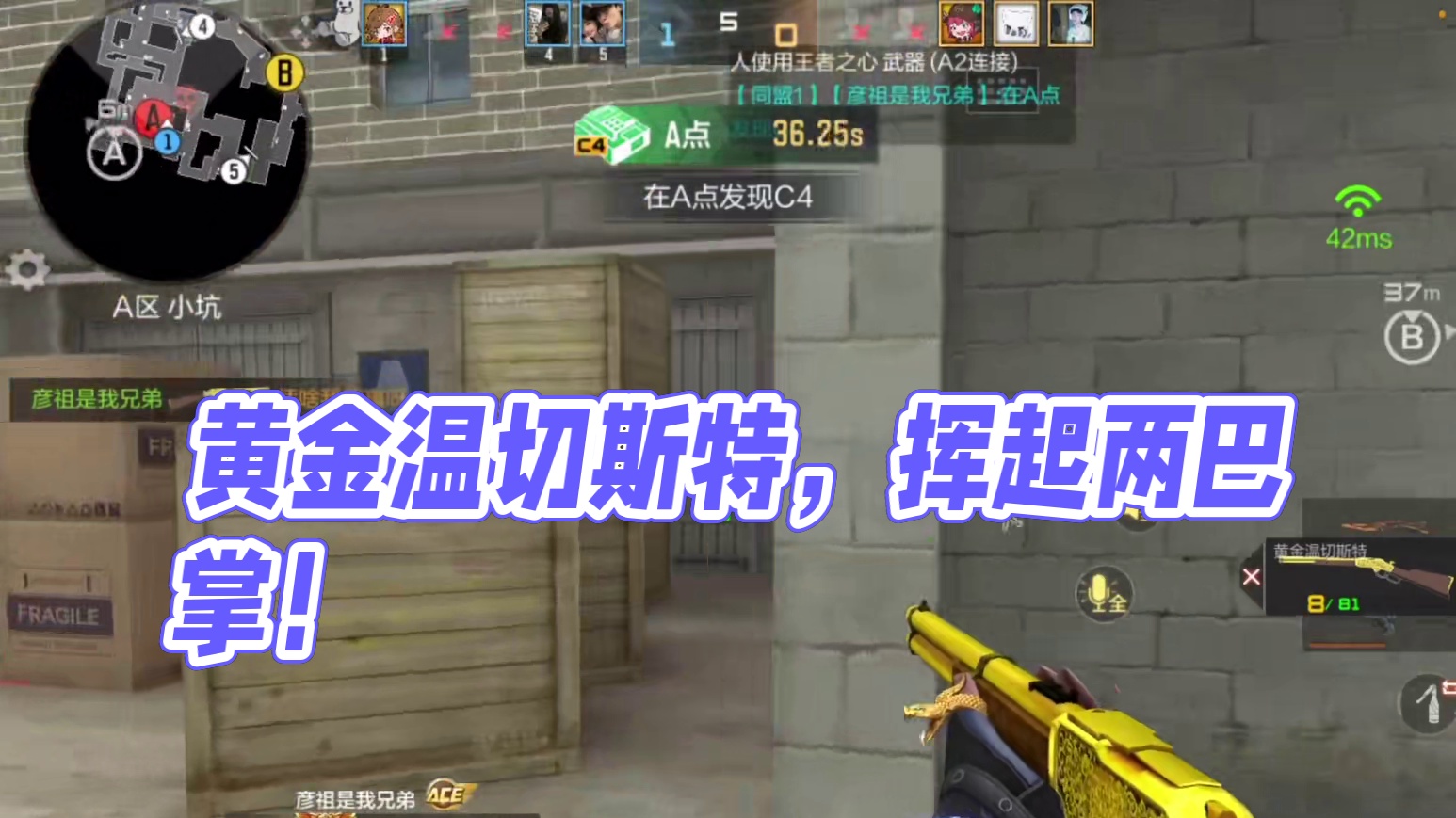 黄金温切斯特小道霸主，81式来了也得挨两巴掌！#cf手游 #CF手游百闻封神录