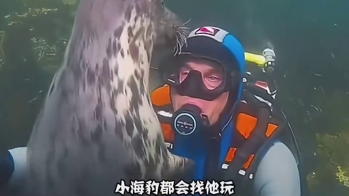小海豹的功德又加一