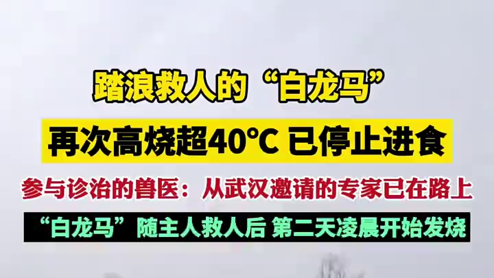 扩散一下，救救白龙马