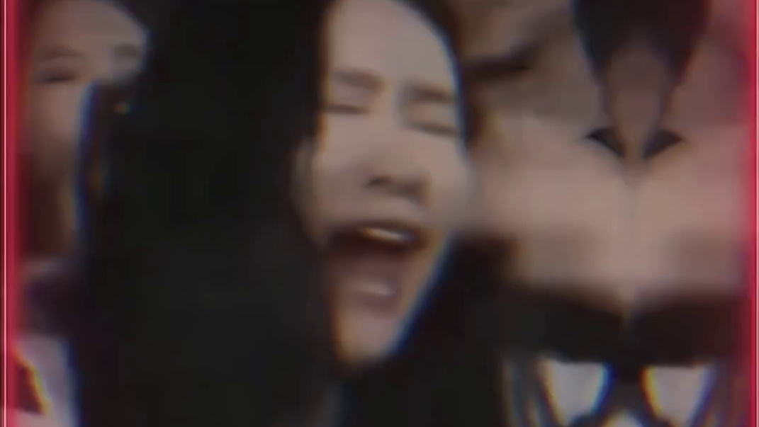 在国内谁的粉丝最理智？