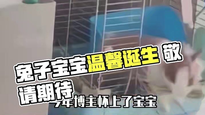 永远会被真诚打动#万万没想到 #神操作 #兔子 #温暖