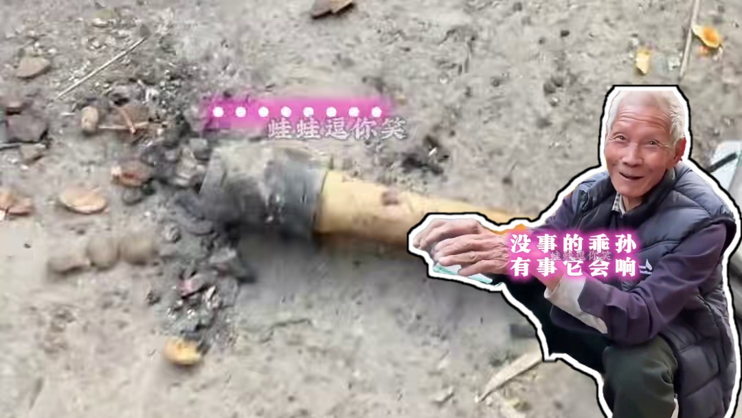#土坡上的狗尾草 冬天烤火时，爷爷突然夹起一个奇怪玩意儿！