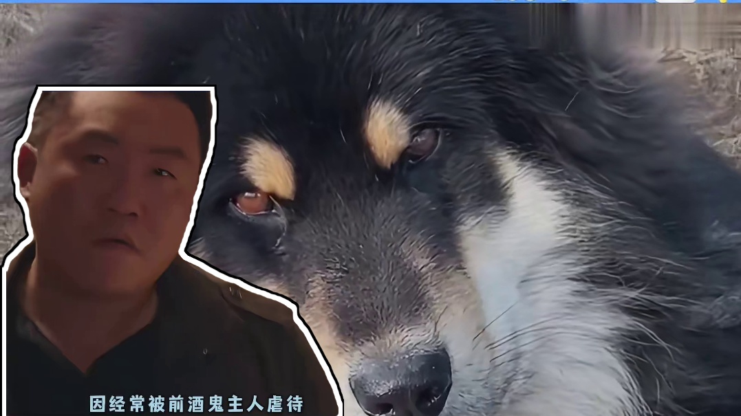 自私鬼并不自私