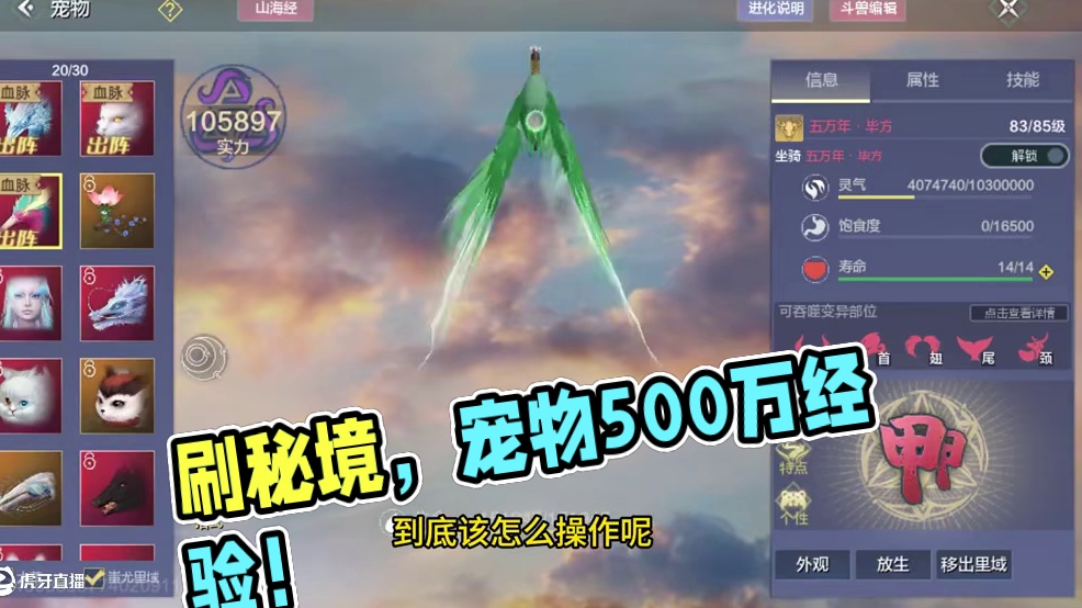 掌握正确刷秘境方式，让我们人物、宠物1次全部活动五百万经验！ #妄想山海 #妄想山海四周年