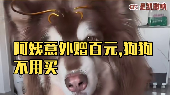 阿姨要不你也看看我！