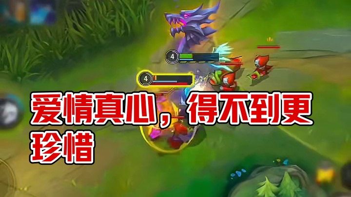 兄弟们我不是故意的