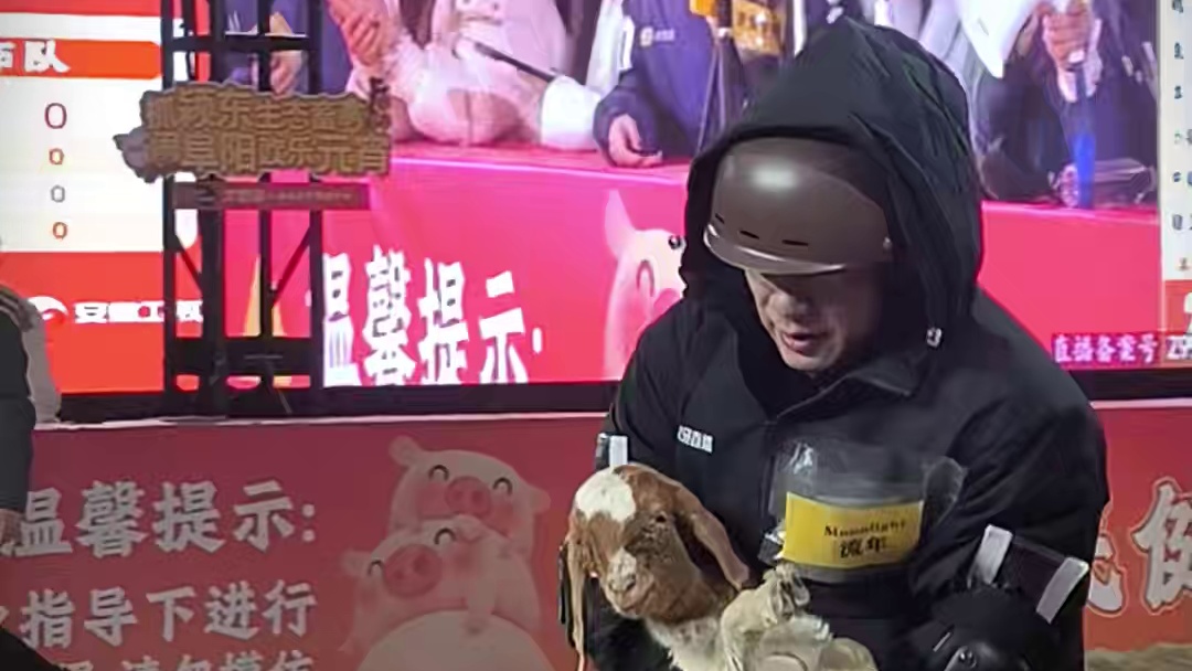 拉风龙抓猪抓鸡如市场进货，完爆AJ