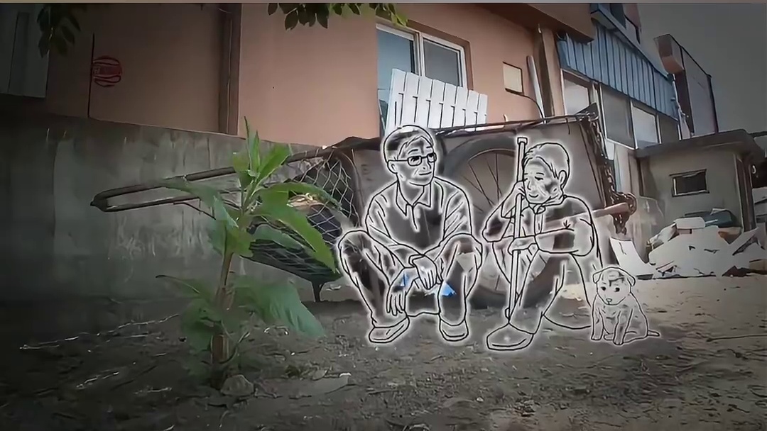 火灾中幸存的狗狗，终日守侯在废墟中，等待着主人回家