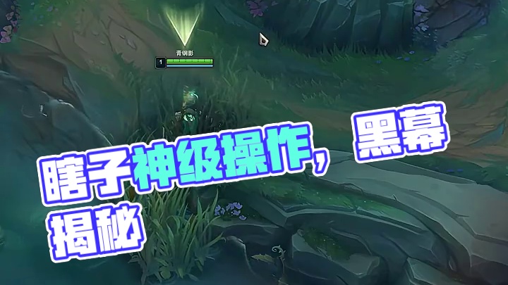 这波后再也没看过瞎子上线了  # 英雄联盟