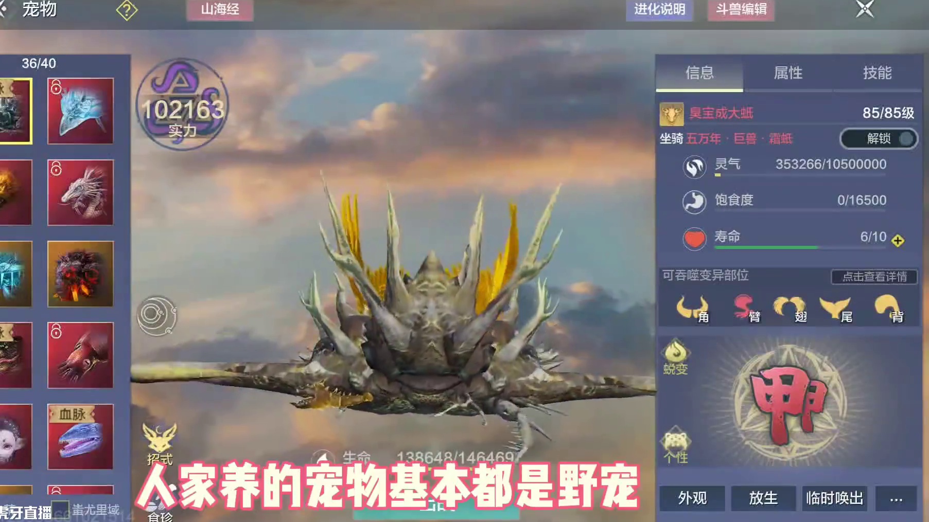 这绝对是全山海独一份了吧，妥妥的野宠界的鼻祖，养的全是老野宠 #妄想山海  #妄想山海四周年  #安