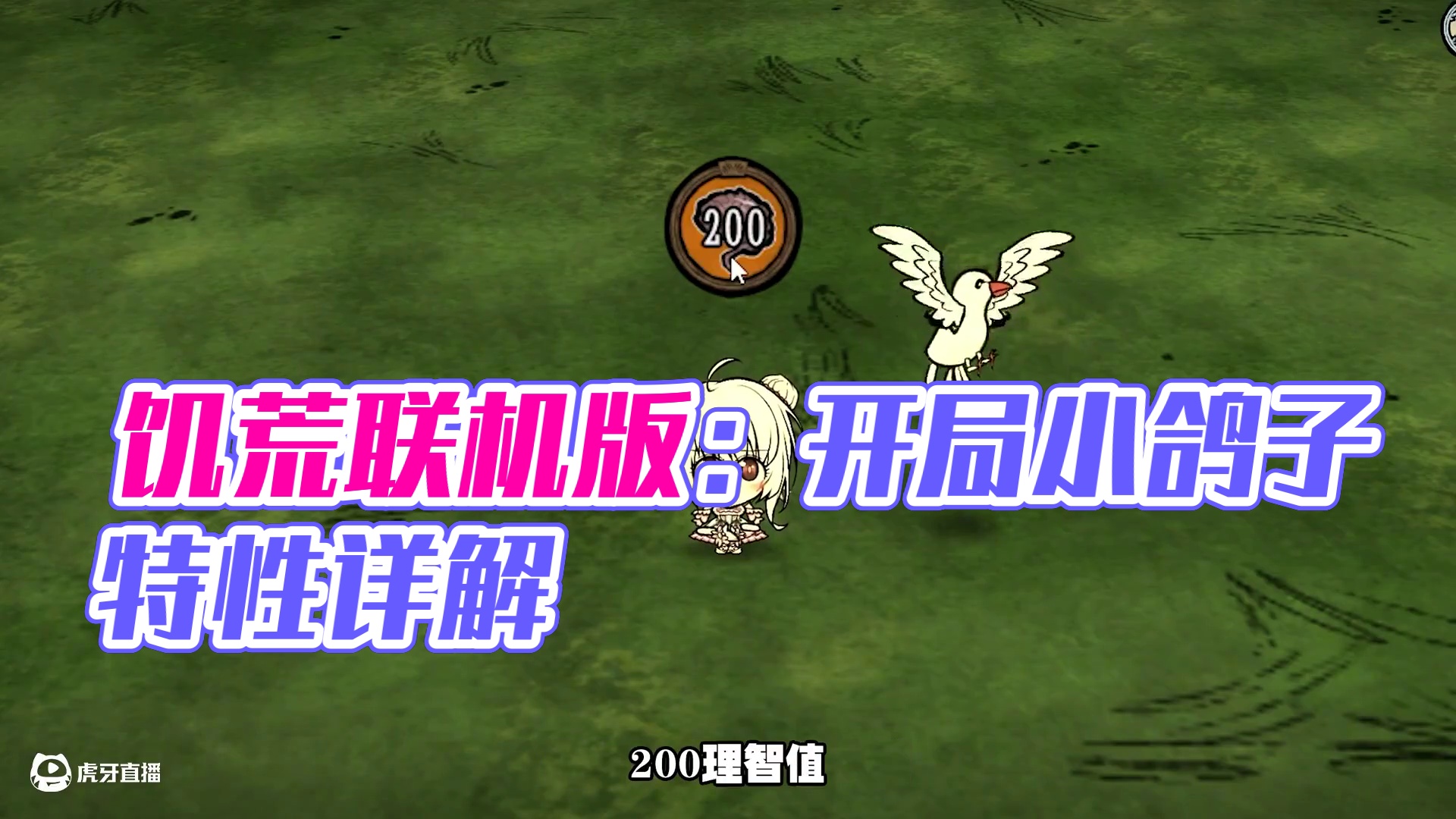 饥荒联机版：开局自带一只可爱小鸽子 #饥荒