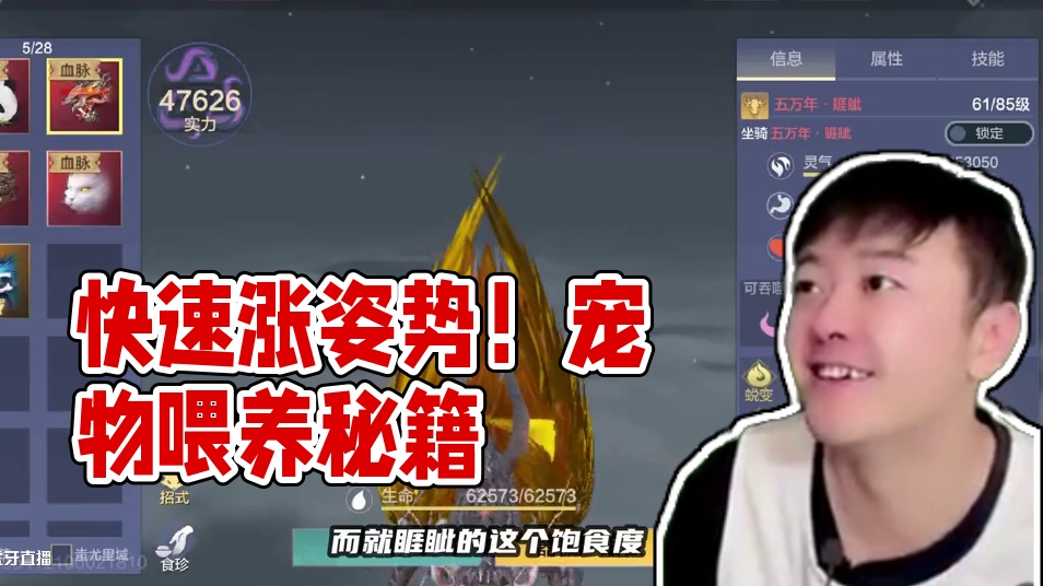 逆天！竟然还有这种方法！能把宠物快速喂养，涨姿势了！ #妄想山海 #妄想山海四周年