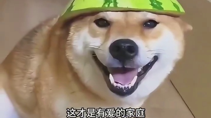 爸爸尊重妈妈，孩子才会更尊重妈妈