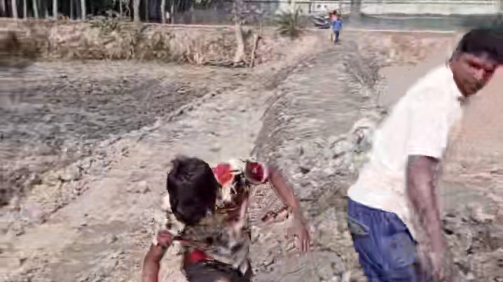 惊爆！老外独特玩法曝光