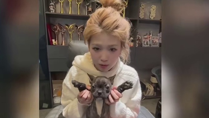 豆哥的“甜蜜烦恼”