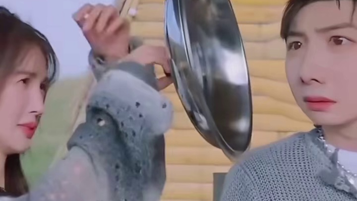 金晨：万物皆可照